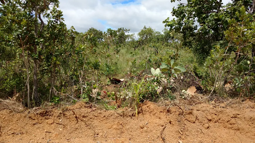 Foto 1 de Lote/Terreno à venda, 1000m² em Novo Santos Dumont, Lagoa Santa