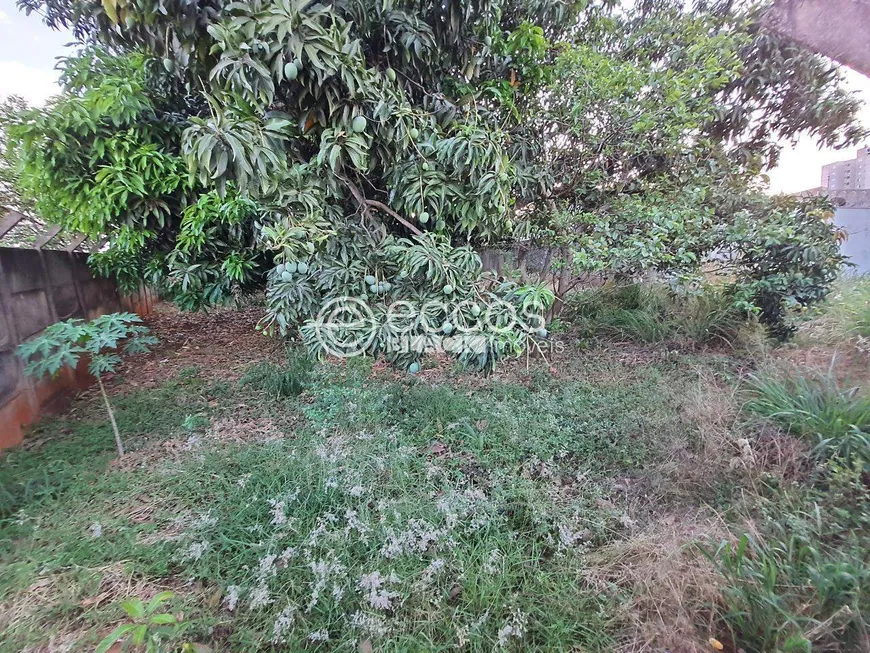 Foto 1 de Lote/Terreno à venda, 893m² em Tubalina, Uberlândia