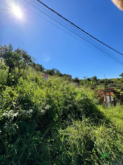 Foto 1 de Lote/Terreno à venda, 360m² em São Mateus, Igarapé