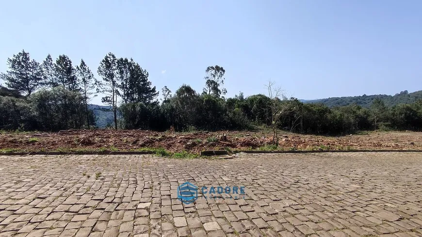 Foto 1 de Lote/Terreno à venda, 375m² em Parada Cristal, Caxias do Sul