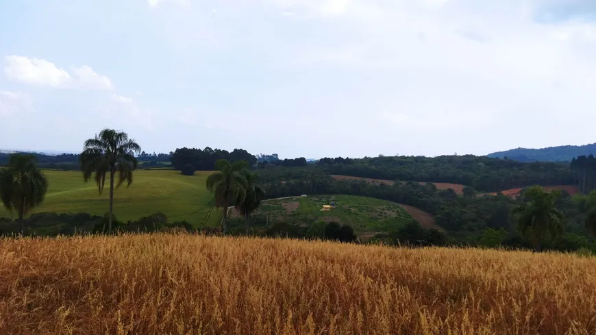 Foto 1 de Fazenda/Sítio à venda, 39823m² em Bugre, Balsa Nova