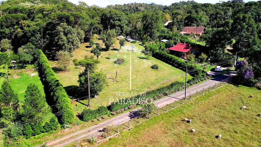 Foto 1 de Fazenda/Sítio com 5 Quartos à venda, 5705m² em Avenquinha, Campo Alegre