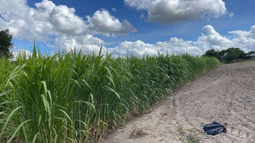 Foto 1 de Lote/Terreno à venda, 62000m² em Zona Rural, São Cristóvão