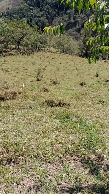 Foto 1 de Fazenda/Sítio à venda, 4000m² em Zona Rural, Piranguçu