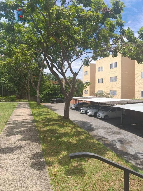 Foto 1 de Apartamento com 2 Quartos à venda, 50m² em Jardim Bela Vista, Campinas