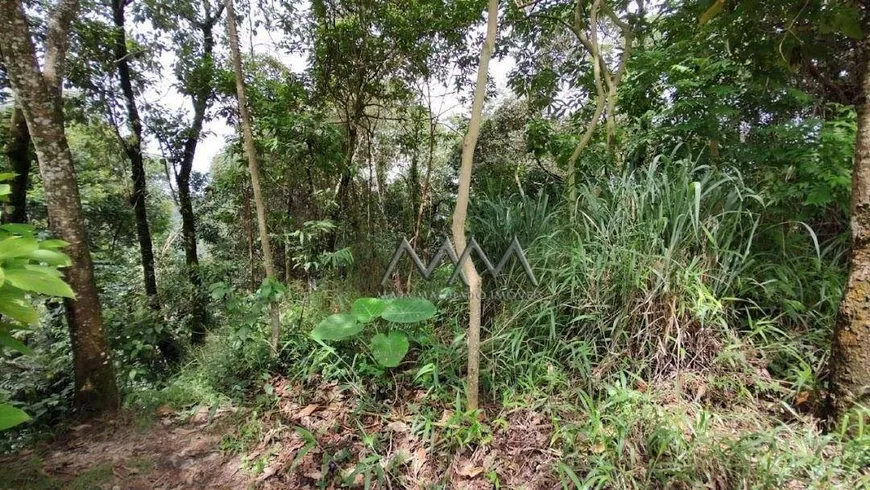 Foto 1 de Lote/Terreno à venda, 1047m² em Bosque Residencial do Jambreiro, Nova Lima