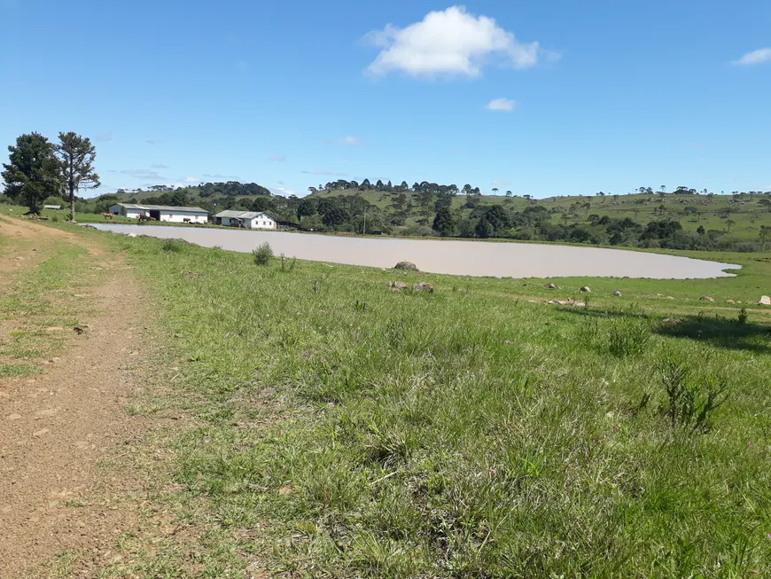 Foto 1 de Fazenda/Sítio com 2 Quartos à venda, 116000m² em Perico, São Joaquim