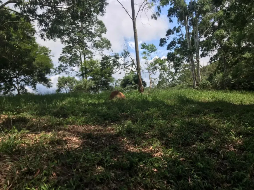 Foto 1 de Lote/Terreno à venda, 600m² em Centro, Igaratá