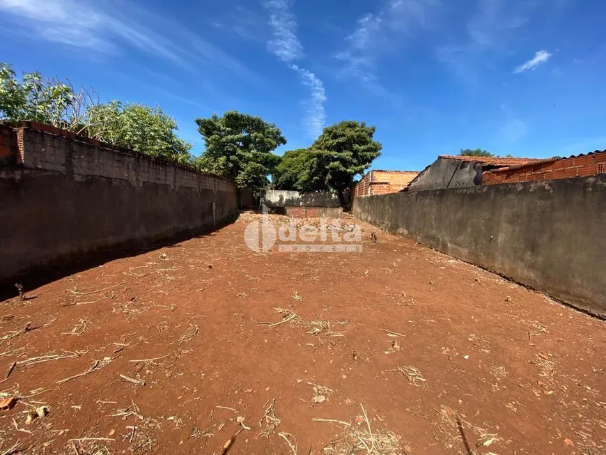 Foto 1 de Lote/Terreno à venda, 360m² em Martins, Uberlândia