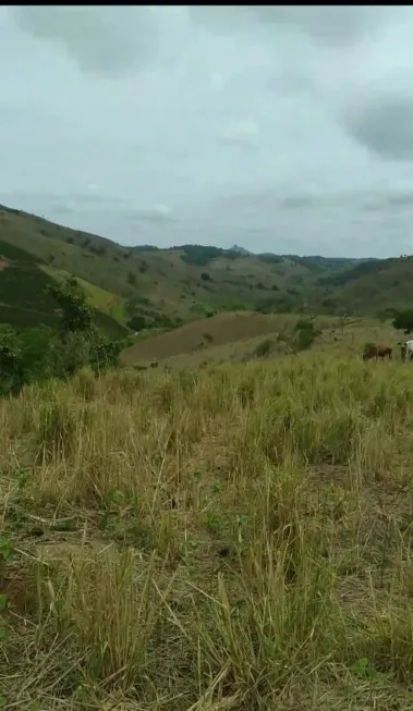 Foto 1 de Fazenda/Sítio com 1 Quarto à venda, 100m² em , Ecoporanga