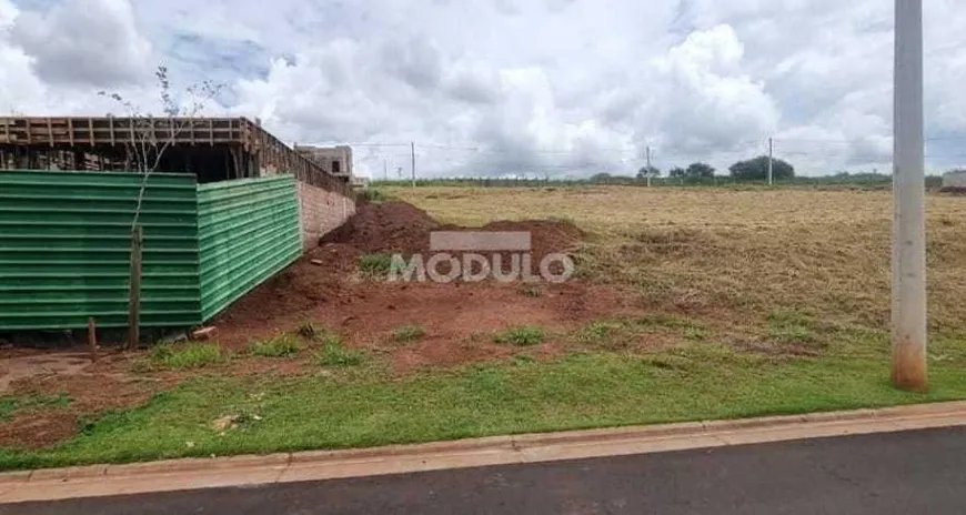 Foto 1 de Lote/Terreno à venda, 311m² em Alto Umuarama, Uberlândia