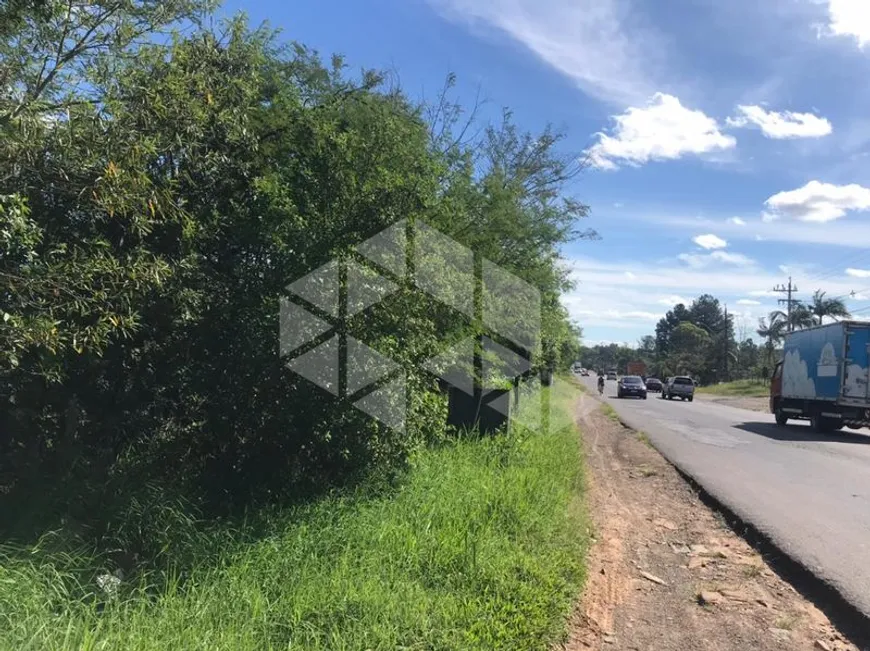 Foto 1 de Sala Comercial para alugar, 598m² em Vera Cruz, Gravataí