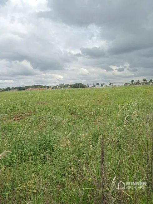 Foto 1 de Lote/Terreno à venda, 2000m² em Zona Rural, Marialva