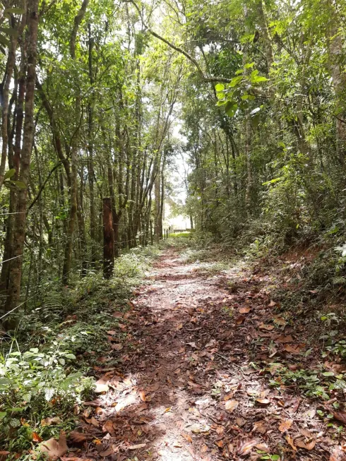 Foto 1 de Lote/Terreno à venda em Rio de Una, Ibiúna