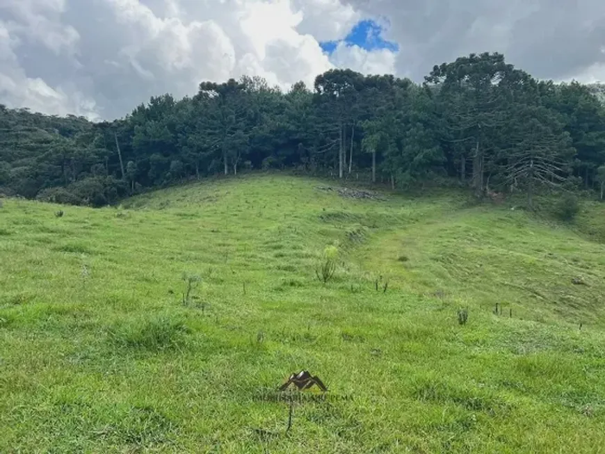 Foto 1 de Lote/Terreno à venda, 20000m² em Rural, Rio Rufino