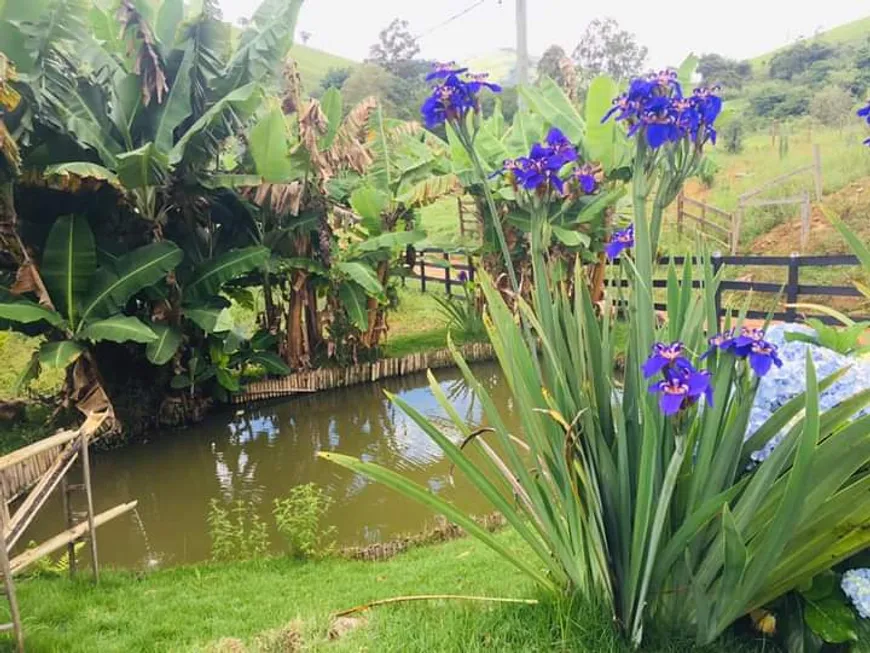 Foto 1 de Fazenda/Sítio com 1 Quarto à venda, 1000m² em Zona Rural, Delfim Moreira