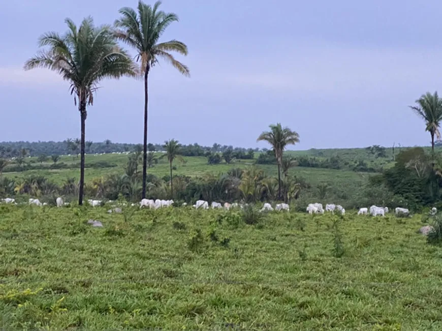 Foto 1 de Fazenda/Sítio à venda, 1600m² em Ponta Negra, Natal
