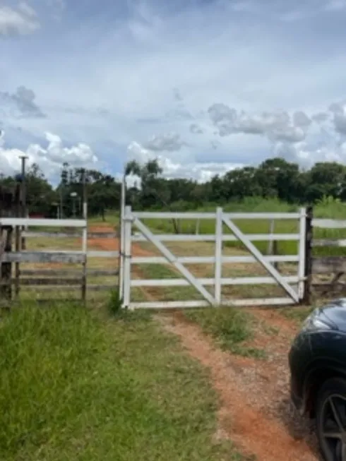 Foto 1 de Fazenda/Sítio com 3 Quartos à venda, 20000m² em Ponte Alta Norte, Brasília