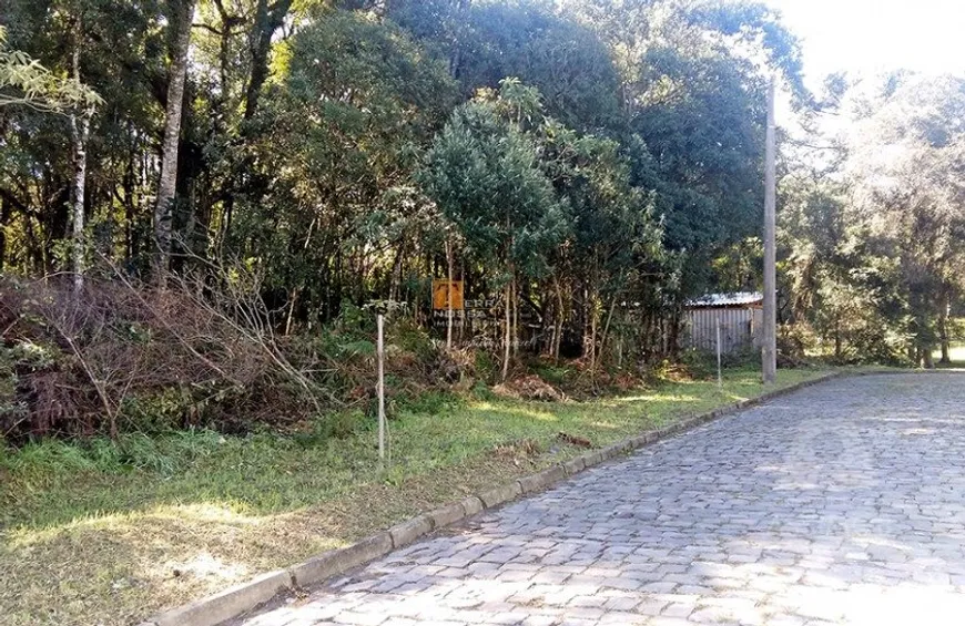 Foto 1 de Lote/Terreno à venda, 4050m² em Sao Virgilio, Caxias do Sul