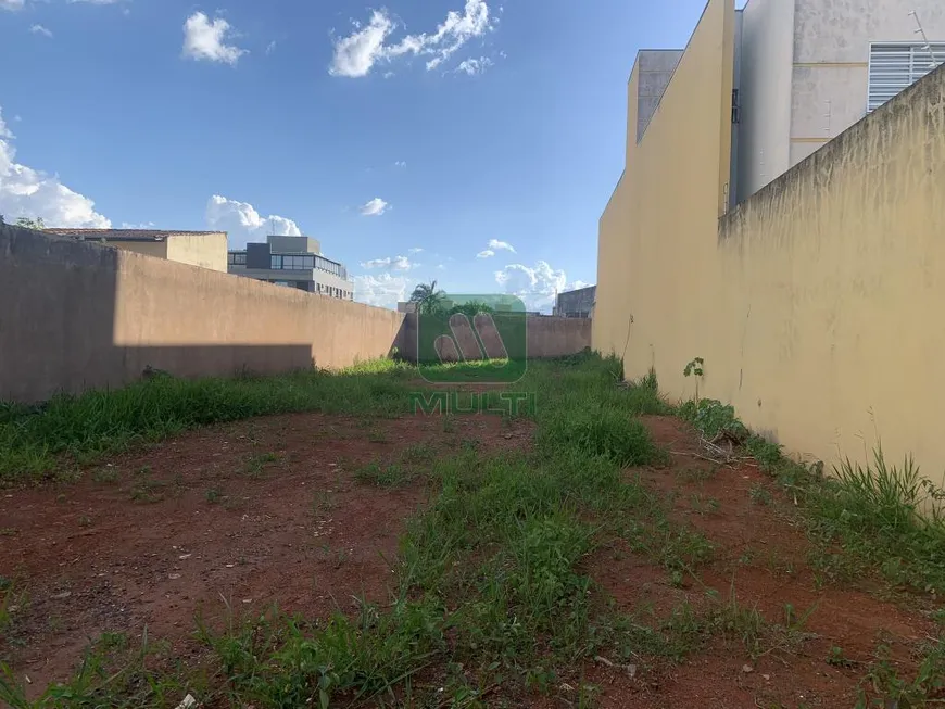 Foto 1 de Lote/Terreno com 1 Quarto para alugar, 400m² em Umuarama, Uberlândia