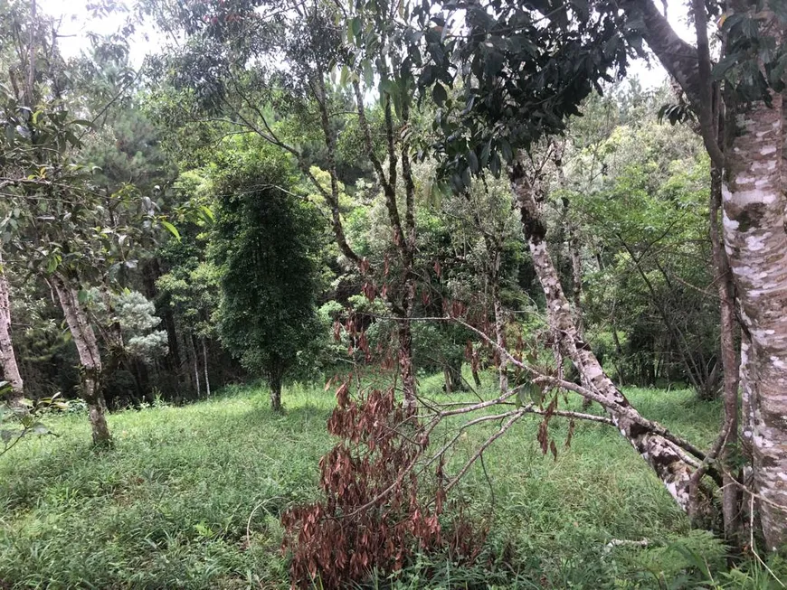 Foto 1 de Lote/Terreno à venda, 1052m² em Bairro Rural, Rancho Queimado