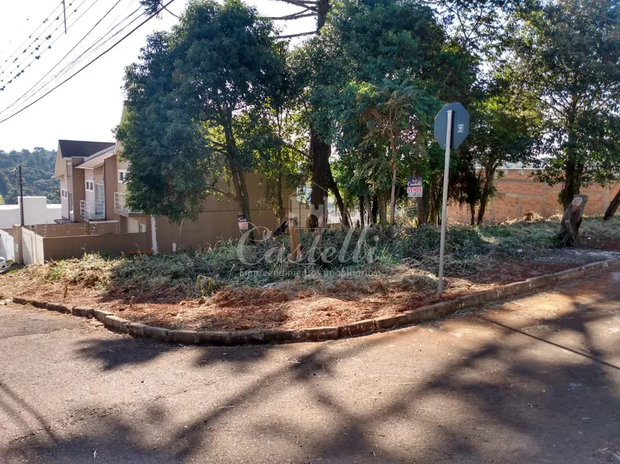 Foto 1 de Lote/Terreno à venda, 579m² em Estrela, Ponta Grossa