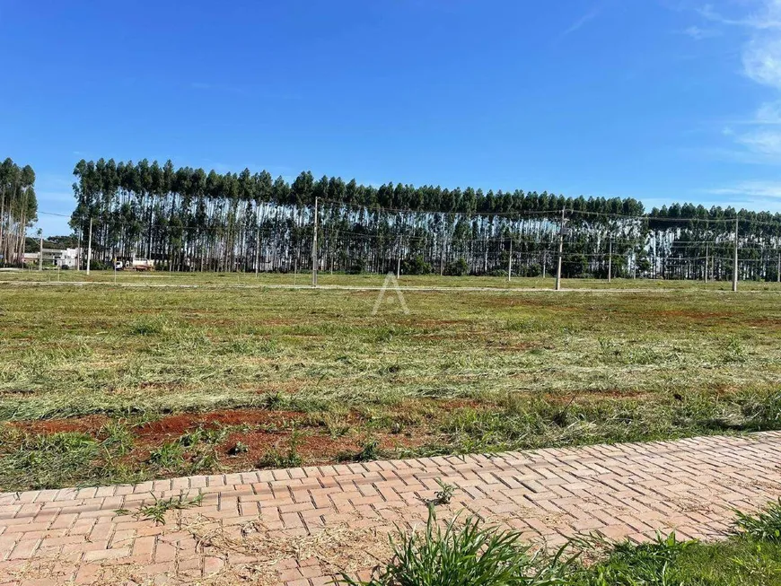 Foto 1 de Lote/Terreno à venda, 301m² em Recanto Tropical, Cascavel