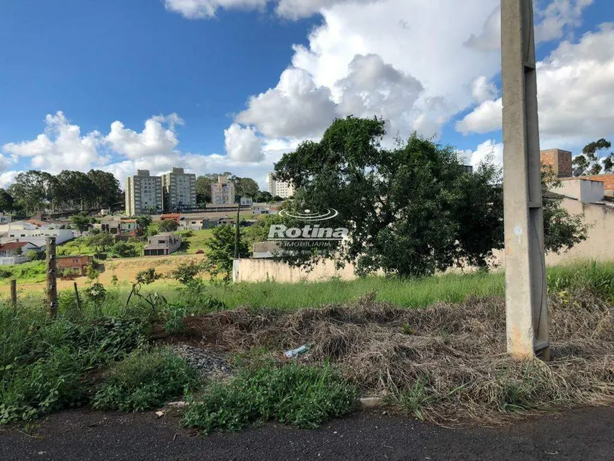 Foto 1 de Lote/Terreno à venda, 655m² em Jardim Inconfidência, Uberlândia