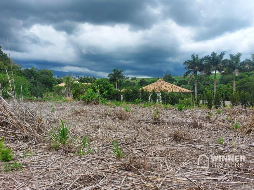 Foto 1 de Fazenda/Sítio com 1 Quarto à venda, 3850m² em Zona Rural, Marialva