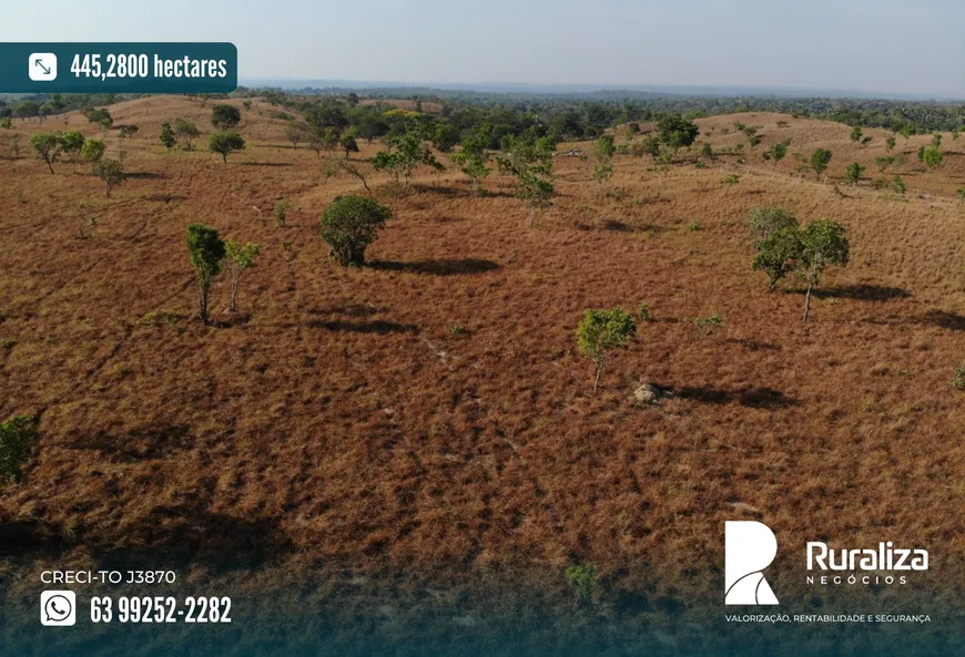 Foto 1 de Fazenda/Sítio à venda, 445m² em Zona Rural, Dois Irmãos do Tocantins