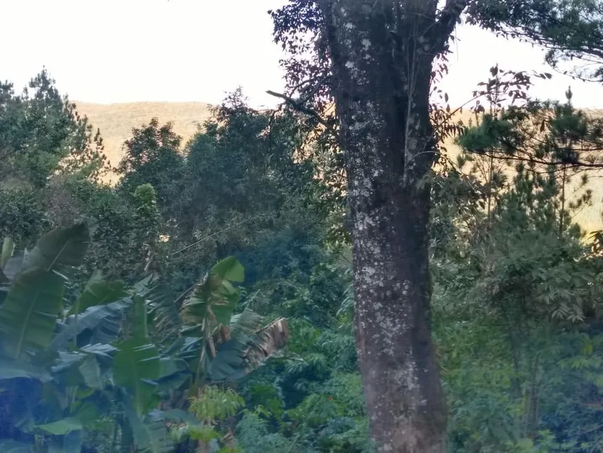 Foto 1 de Fazenda/Sítio com 1 Quarto à venda, 24000m² em , São Francisco de Paula