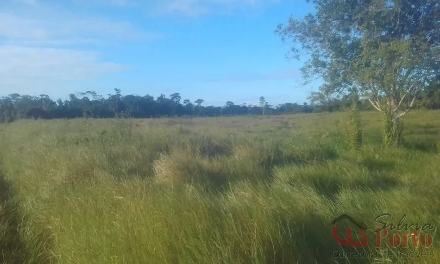 Foto 1 de Fazenda/Sítio com 4 Quartos à venda, 474m² em , Belmonte