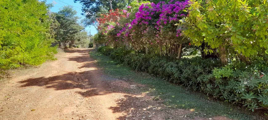 Foto 1 de Fazenda/Sítio com 5 Quartos à venda, 202m² em Major Prates, Montes Claros