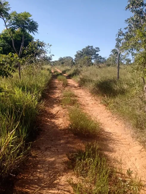 Foto 1 de Lote/Terreno com 1 Quarto à venda, 50000m² em Centro, Três Marias