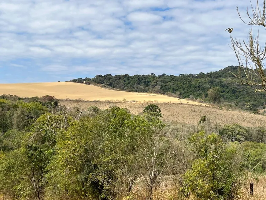 Foto 1 de Fazenda/Sítio com 2 Quartos à venda, 3388000m² em Zona Rural, Congonhal