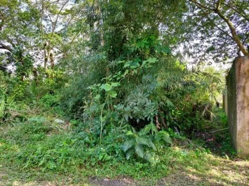 Foto 1 de Lote/Terreno à venda, 1000m² em Tropical, Itanhaém