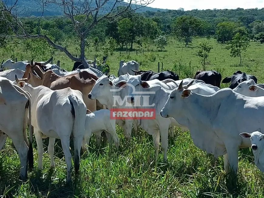 Foto 1 de Fazenda/Sítio à venda, 249m² em Zona Rural, Buritis