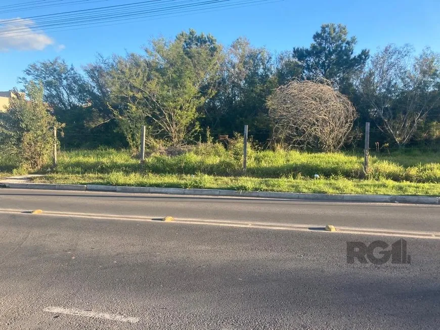 Foto 1 de Lote/Terreno à venda, 1m² em Sitio Gaucho, Gravataí