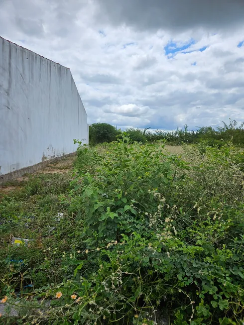 Foto 1 de Lote/Terreno com 1 Quarto à venda, 200m² em Topázio, Petrolina