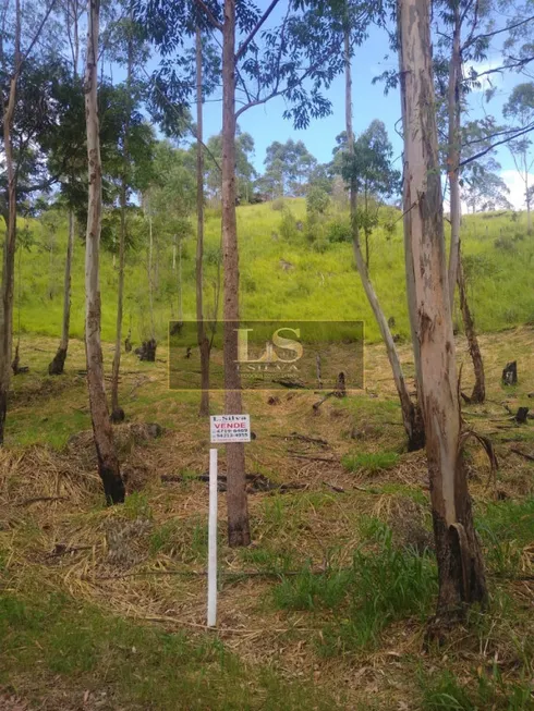 Foto 1 de Lote/Terreno à venda, 2000m² em Alto da Serra - Mailasqui, São Roque