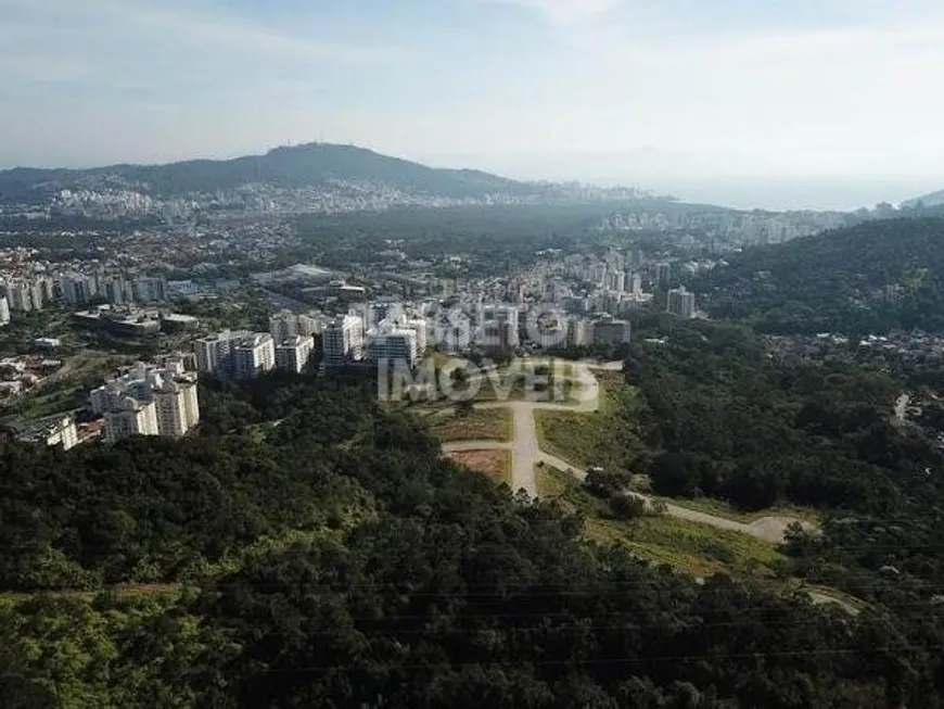 Foto 1 de Lote/Terreno à venda, 477m² em Itacorubi, Florianópolis