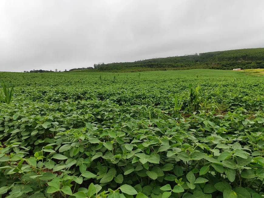 Foto 1 de Fazenda/Sítio com 1 Quarto à venda, 96600m² em Zona Rural, Pilar do Sul