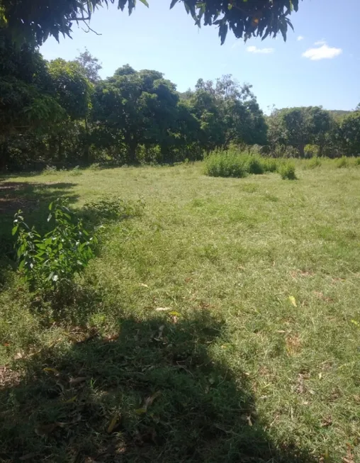 Foto 1 de Fazenda/Sítio à venda em Bairro Centro, Unaí