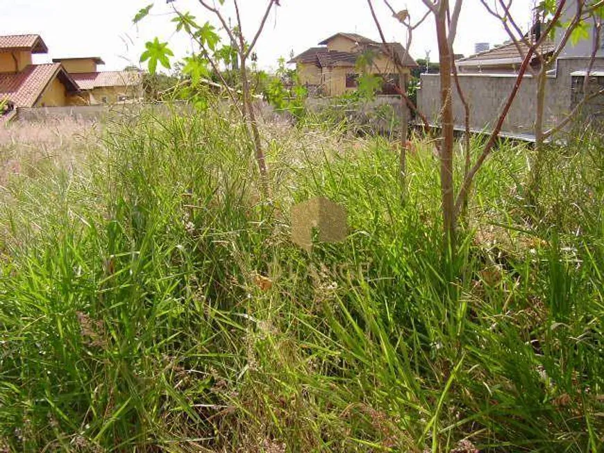 Foto 1 de Lote/Terreno à venda, 362m² em Taquaral, Campinas