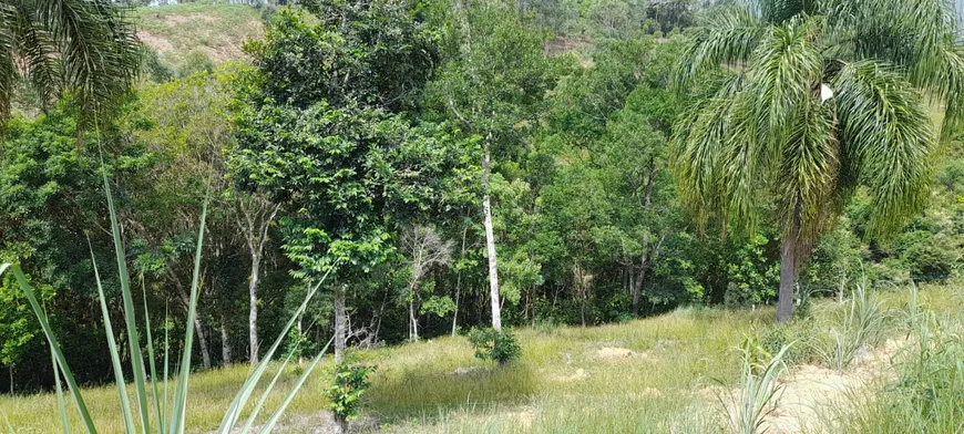 Foto 1 de Lote/Terreno à venda, 10000m² em , Canelinha