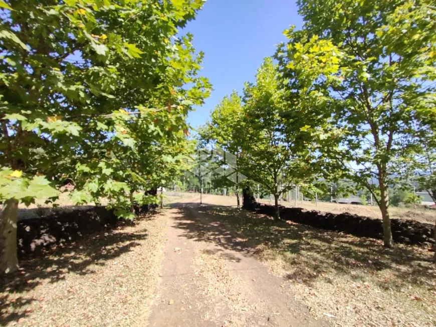 Foto 1 de Fazenda/Sítio com 5 Quartos à venda, 34000m² em , Portão