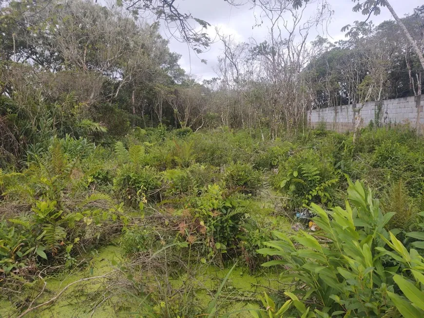 Foto 1 de Lote/Terreno à venda, 275m² em Luíza Mar Mirim, Itanhaém