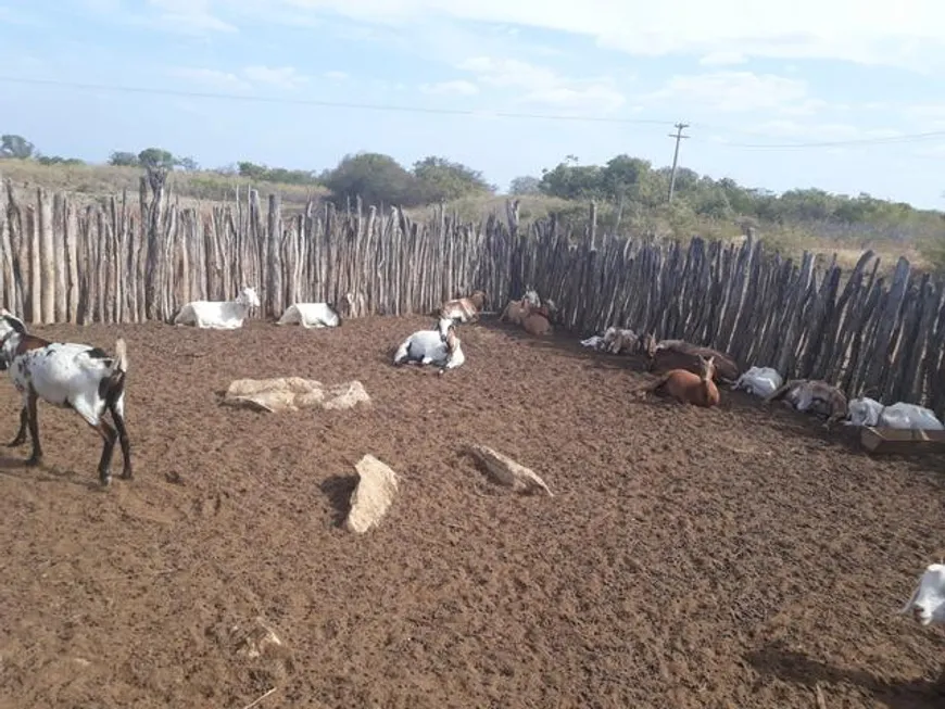 Foto 1 de Fazenda/Sítio com 3 Quartos à venda, 380000m² em Centro, Apodi