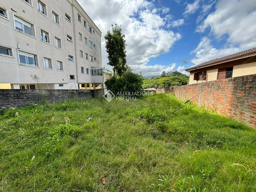 Foto 1 de Lote/Terreno à venda, 360m² em Vila Ipiranga, Porto Alegre