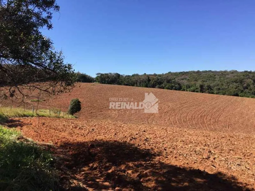 Foto 1 de Fazenda/Sítio com 1 Quarto à venda, 366050m² em Sítios Primavera, Jarinu